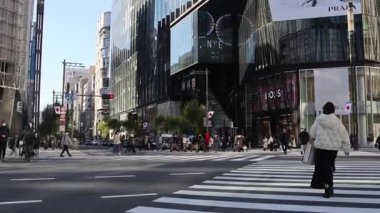 Tokyo, Japonya-28 Aralık 2025: Tokyo, Japonya 'daki Ginza bölgesinin görüntüsü. Ginza, Tokyo 'nun en ünlü alışveriş, yemek ve eğlence merkezidir ve çok sayıda mağazası ve butiği bulunmaktadır.