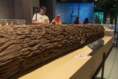 Kuching, Malezya - 28 Ocak 2026: Malezya 'nın Kuching kentindeki Borneo Kültür Müzesi' nde demirağacından oyulmuş mezar direkleri. Kelirieng ve Jerunai olarak bilinen bu tören Borneo cenaze törenlerine özgüdür.