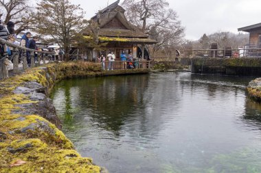 Oshino, Japonya- 20 Aralık 2025: Japonya 'daki Oshino Hakkai manzarası. Oshino Hakkai, Fuji Dağı 'nın eriyen sularından beslenen sekiz kutsal gölete ev sahipliği yapıyor.