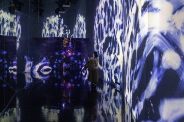 Tokyo, Japonya 22 Aralık 2025 Tokyo, Japonya 'daki Sınır Tanımaz Dijital Sanat Müzesi. Sınır Tanımayan Takım Laboratuvarı sınırları olmayan bir sanat eserleri dünyası. Sanat topluluğu tarafından oluşturulmuş haritası olmayan bir müze.