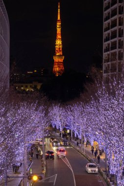 Tokyo, Japonya - 26 Aralık 2025: Roppongi Hills Noel ışıkları, Tokyo 'daki en iyi kış aydınlatmaları. Roppongi Hills alışveriş merkezinin yanındaki Keyakizaka Caddesi Tokyo Kulesi ile aydınlanıyor