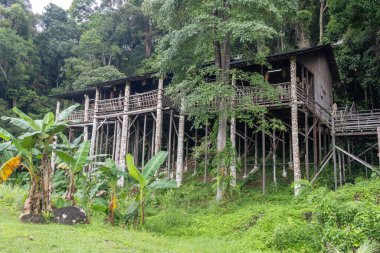 Kuching, Malezya - 27 Ocak 2026: Malezya 'nın Kuching kentindeki Sarawak Kültür Köyü' nde Orang Ulu Uzunevi. Nehrin yukarısındaki kabileler tarafından inşa edilmiş, Sarawak, Borneo 'da geleneksel, yüksek bir toplu konuttur.