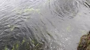 Oshino, Japonya- 20 Aralık 2025: Abara Nehri (Ahara Nehri) Japonya 'daki Oshino Hakkai köyünde. Oshino Hakkai, temiz bahar beslenen sekiz göletiyle bilinen ünlü bir turizm merkezidir.