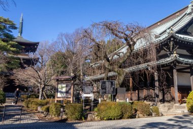 Tokyo, Japonya - 26 Aralık 2025: Tokyo, Japonya 'daki Gotokuji Tapınağı Buda Salonu. Gotokuji tapınağı uzun zamandır büyük kedi heykelleri koleksiyonu için ziyaretçileri çekiyor.