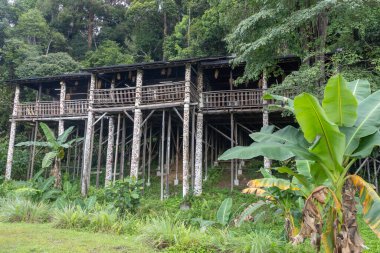 Kuching, Malezya - 27 Ocak 2026: Malezya 'nın Kuching kentindeki Sarawak Kültür Köyü' nde Orang Ulu Uzunevi. Nehrin yukarısındaki kabileler tarafından inşa edilmiş, Sarawak, Borneo 'da geleneksel, yüksek bir toplu konuttur.