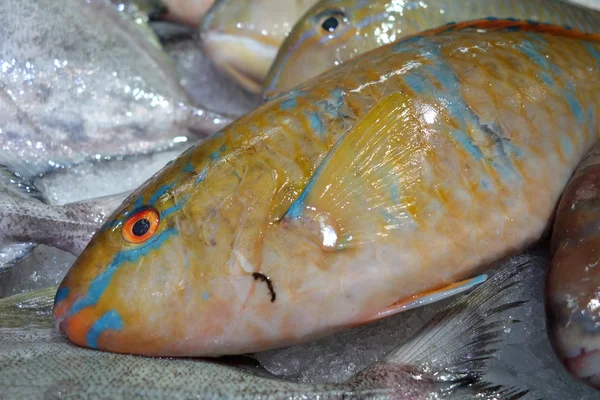 市场上新鲜的杜斯科鱼 — 图库照片