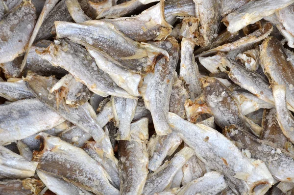 Gedroogde gezouten fishs op de markt — Stockfoto