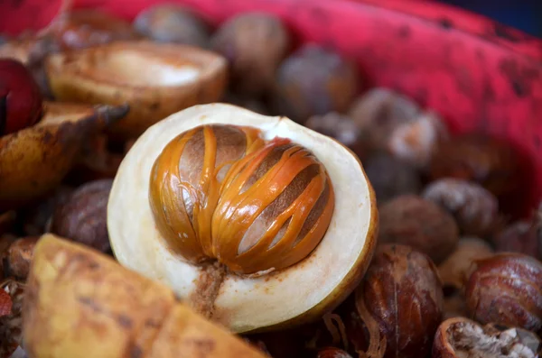 Ripe colorful nutmeg fruit — Stock Photo, Image