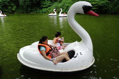 Kuğu Pedal parkta gölet