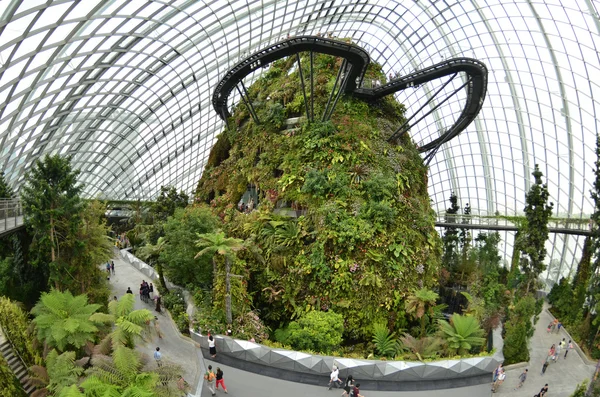 Floresta na Nuvem nos Jardins perto da Baía em Singapura — Fotografia de Stock