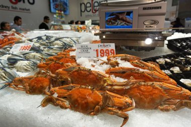 Sidney Balık pazarı, mavi yüzücü Yengeç üzerinde fiyat etiketi 