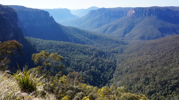 Parque Nacional de las Montañas Azules en Australia — Foto de Stock
