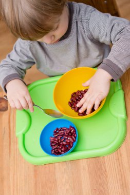Böbrek fasulyesini beyaz fasulyeden ayıran çocuk. Montessori konsepti. Erken eğitim için anaokulu uygulaması. İyi motor becerileri ve dikkat alıştırması. Çocuk ev konseptiyle oynuyor..