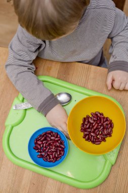 Böbrek fasulyesini beyaz fasulyeden ayıran çocuk. Montessori konsepti. Erken eğitim için anaokulu uygulaması. İyi motor becerileri ve dikkat alıştırması. Çocuk ev konseptiyle oynuyor..