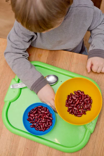 Böbrek fasulyesini beyaz fasulyeden ayıran çocuk. Montessori konsepti. Erken eğitim için anaokulu uygulaması. İyi motor becerileri ve dikkat alıştırması. Çocuk ev konseptiyle oynuyor..