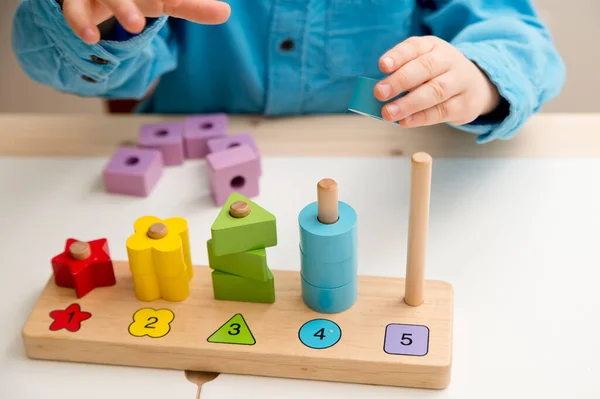Saymayı, şekilleri ve renkleri öğrenmek. Montessori tipi uygulama. Tahta oyuncaklar. Saymayı öğren ve hayal gücünü, yaratıcılığı, el-göz koordinasyonunu teşvik et.