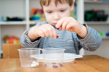 Böbrek fasulyesini beyaz fasulyeden ayıran çocuk. Montessori konsepti. Erken eğitim için anaokulu uygulaması. İyi motor becerileri ve dikkat alıştırması. Çocuk ev konseptiyle oynuyor..