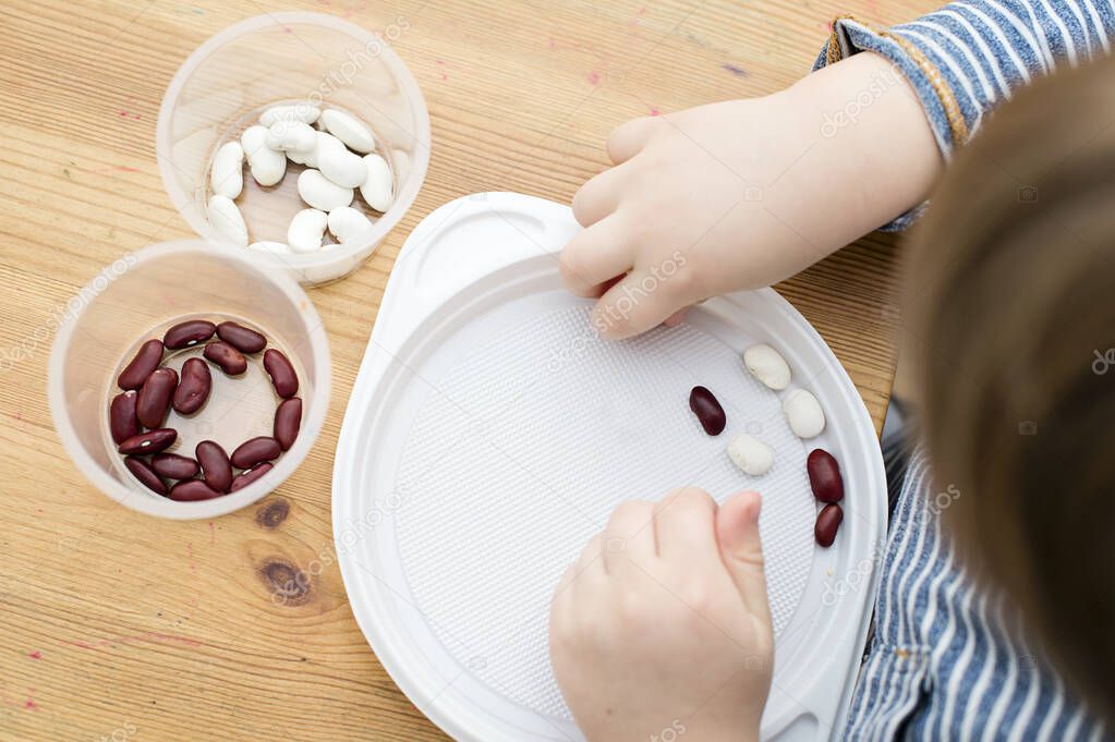 Boy sorting kidney beans from white beans. Montessori concept. Preschool implement for early education. Fine motoric skills and attention training exercise. DIY kid play at home concept.