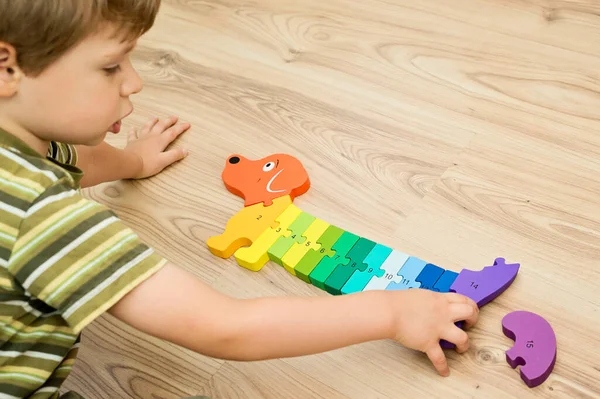 木製のナンバーパズル 遊びを通して 子どもたちのために良い電動スキル 論理的な思考を開発するために実装します 数えることを学び 想像力 創造性 手を刺激するおもちゃ 目の調整 — ストック写真