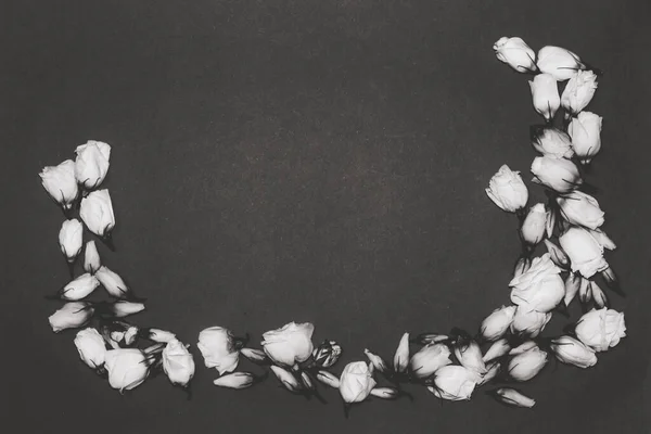 Квіти Еустоми Розкладені Фоні Плоскі — стокове фото