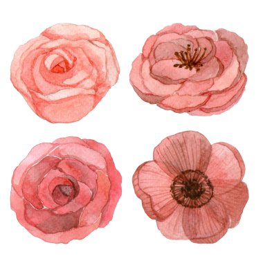 Çiçekler suluboya resim kümesi