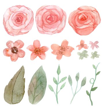 Çiçek ve yapraklar.