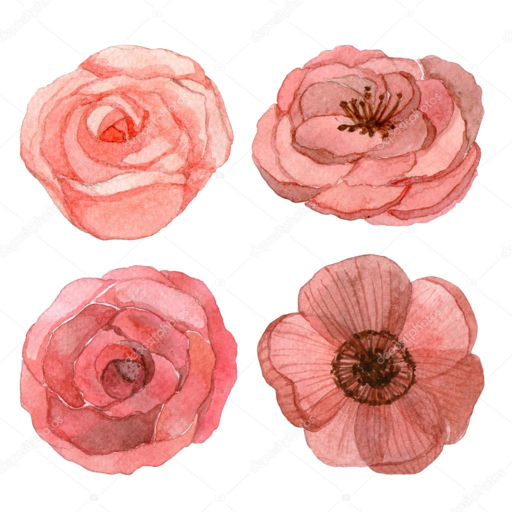 Insieme dei fiori tradizionali di disegno e pittura di colore dell acqua su priorit  bassa bianca — Foto di bossaviva