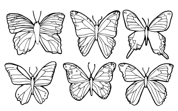 Vector del contorno de mariposas — Vector de stock