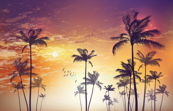 Palmeras tropicales exóticas al atardecer o a la luz de la luna, con nubes — Vector de stock