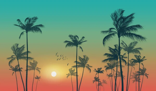 Palmeras tropicales exóticas al atardecer o al amanecer. Altamente detallado. — Vector de stock