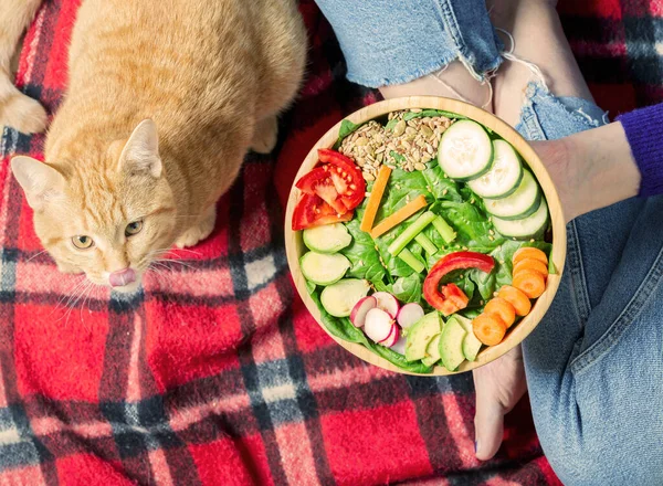 Healthy dinner or lunch. Woman in jeans sitting on red blanket with crossed legs and eating vegan in a bowl with vegetables, spinach, broccoli, fresh seeds next to a red cat licking his mustache