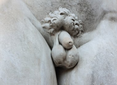 Michelangelo'nun David heykelinin detay