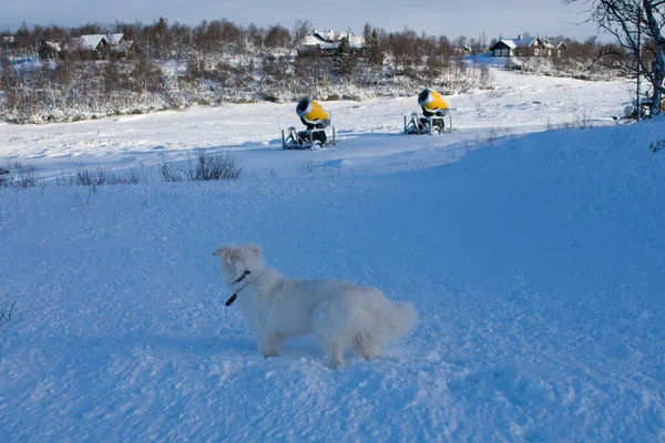 Snow Making Machine With Cabins in back ground. Snow Cannons