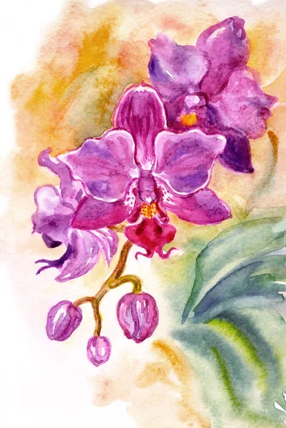 Kleine Karmozijnrode Orchidee Een Gouden Achtergrond Aquarel Illustratie Foto Voor — Stockfoto