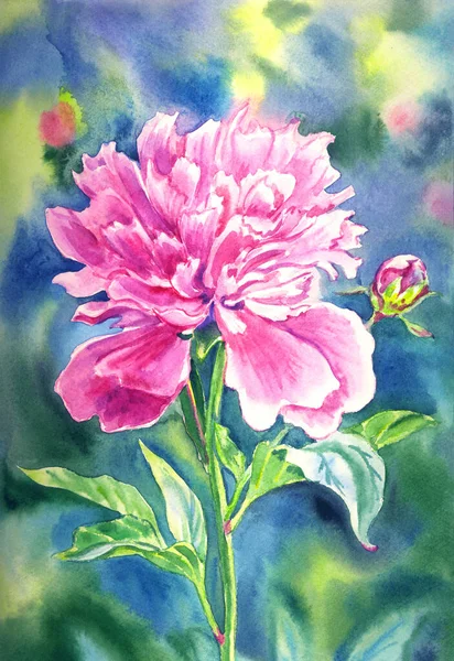 Lush Pink Peony Blurry Background Watercolor Illustration Print Poster Cover — Φωτογραφία Αρχείου