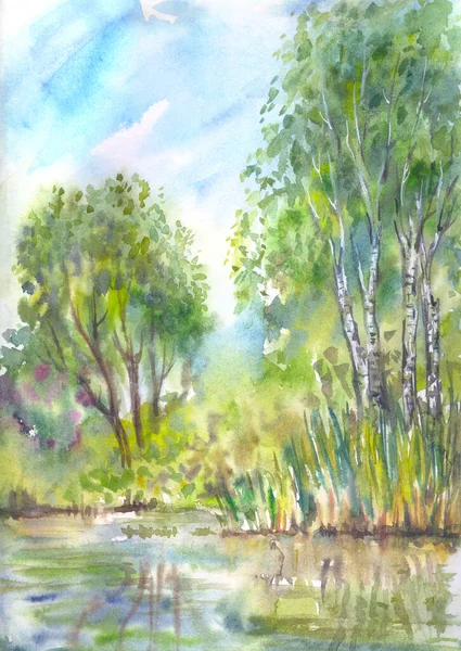 Paisagem Com Uma Lagoa Vidoeiros Outras Árvores Pintura Aquarela Imprimir — Fotografia de Stock