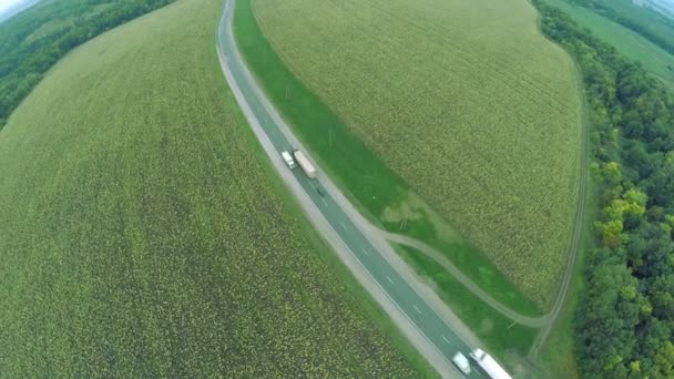 Luchtfoto. Bochtige wegen, snelweg in de herfst. Snelweg M7 "Volga" — Stockvideo