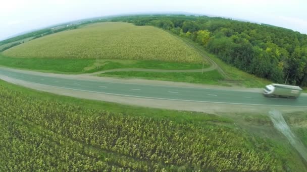 Vista aérea. Estradas sinuosas, estrada no Outono. Auto-estrada M7 "Volga " — Vídeo de Stock