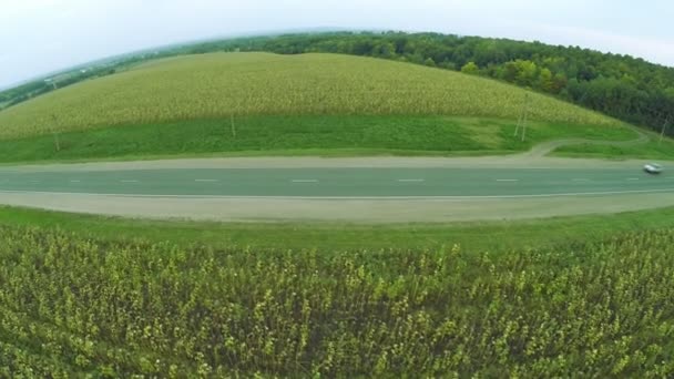 Luchtfoto. Bochtige wegen, snelweg in de herfst. Snelweg M7 "Volga" — Stockvideo