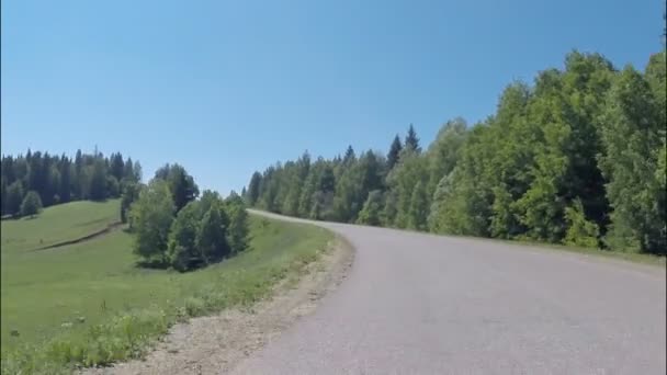 POV rijden op asfalt landweg, de camera aan de voorkant, zomer — Stockvideo