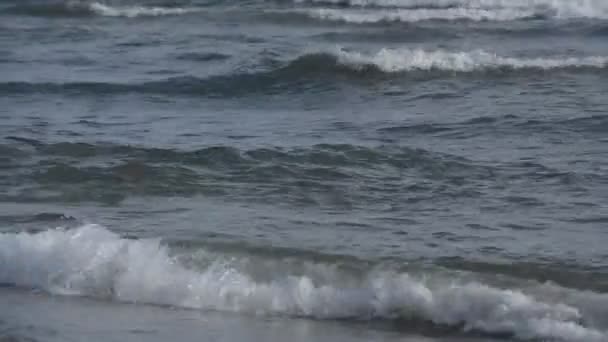 海、砂浜ビーチの波。ヴァルナ、ブルガリア黒海 — ストック動画