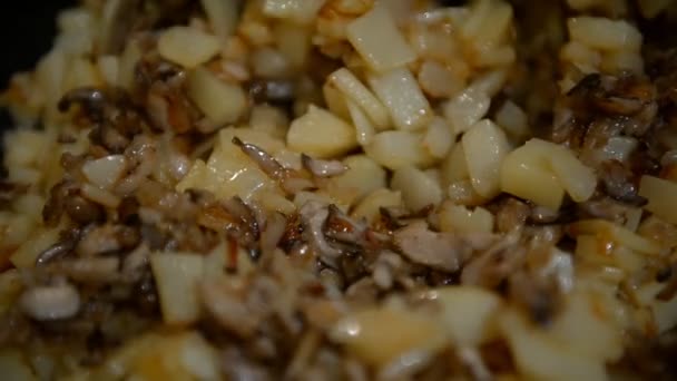 Fried potatoes with mushrooms in a frying pan — Stock Video