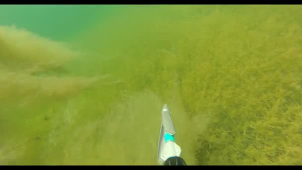 Pesca submarina en el río . — Vídeo de stock