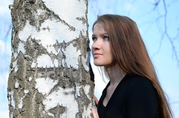 Menina de cabelos longos em uma floresta de vidoeiro russo, close-up — Fotografia de Stock