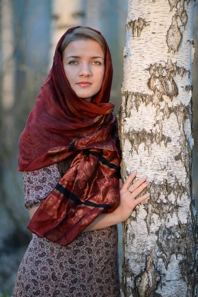Російська дівчина в шарф у Ліс берези, Закри — стокове фото