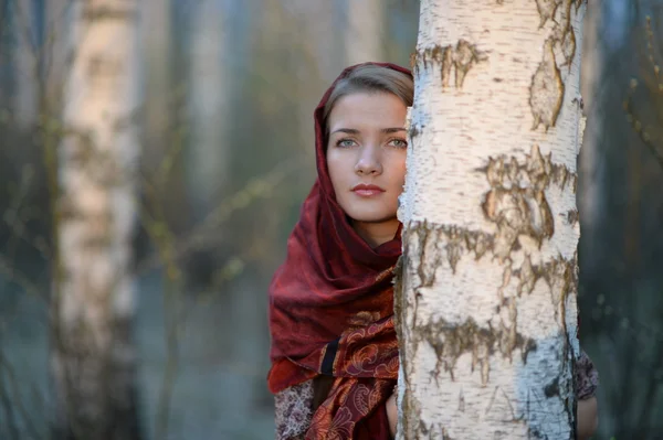 Ryska flickan i en halsduk i en björkskog, närbild Stockbild