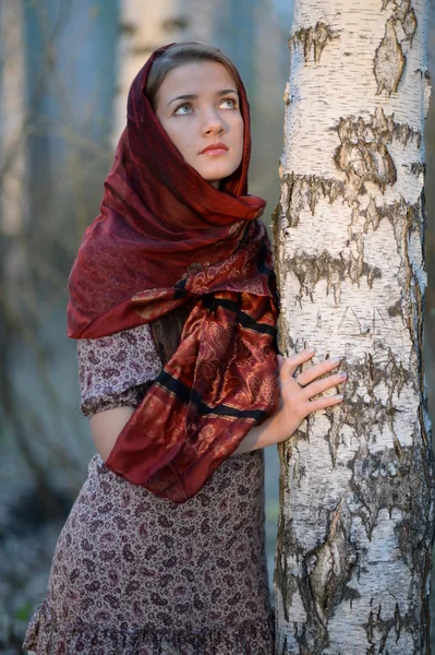 俄罗斯姑娘在一条围巾在白桦林 — 图库照片