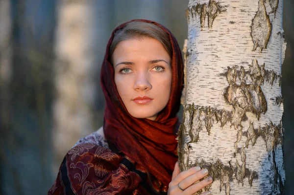 Russian girl in a scarf in a birch forest Royalty Free Stock Photos