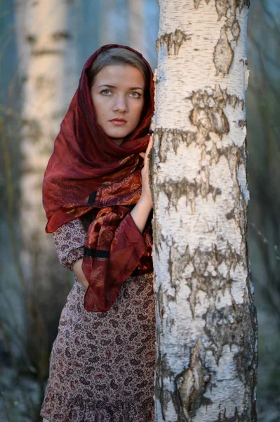 Russian girl in a scarf in a birch forest Stock Photo