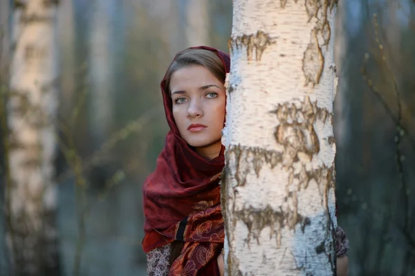 Russian girl in a scarf in a birch forest Stock Image